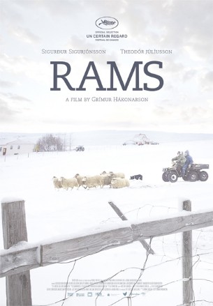 Rams - Storia di due fratelli e otto pecore