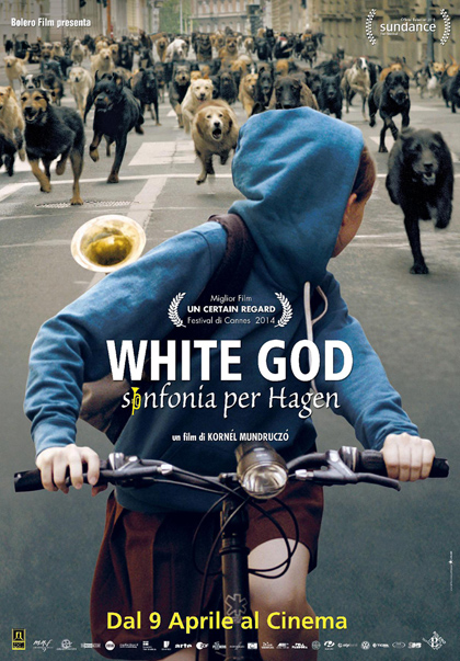 WHITE GOD